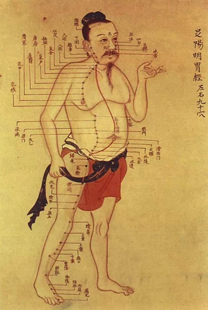 Traditional Chinese Medicine Acupuncture